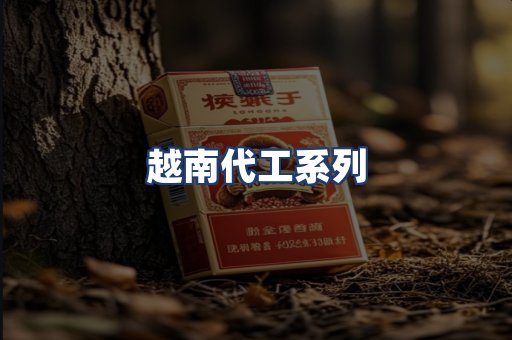 越南代工系列